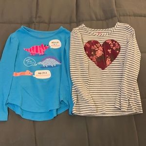 Lot 2 Long Sleeves Dinosaur Heart Girls 5T